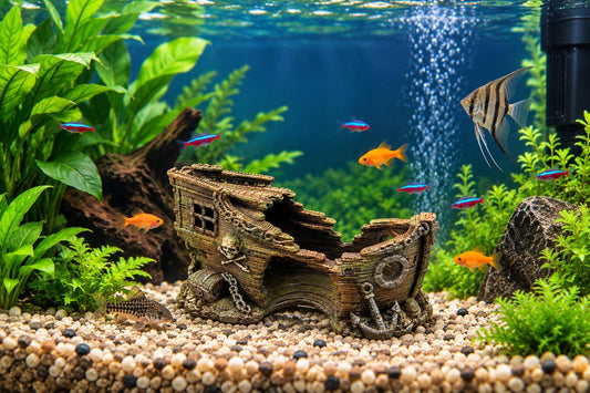 3D Printed Shipwreck Aquarium Decoration – Realistic Fish Cave, Shrimp Shelter (Freshwater/Tropical)