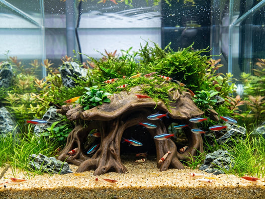 Driftwood Root Hide – Terrarium & Aquarium Decor