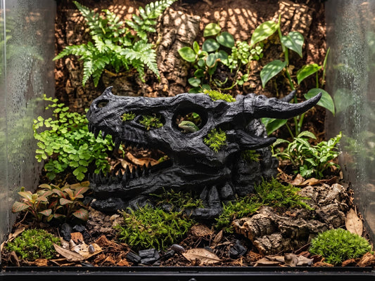 Ancient Dragon Skull Cave – 3D Printed Fantasy Terrarium & Aquarium Decor