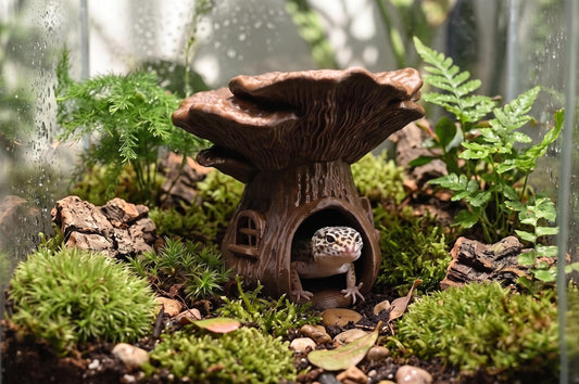 Fantasy Mushroom House Hideout - Terrarium Decor