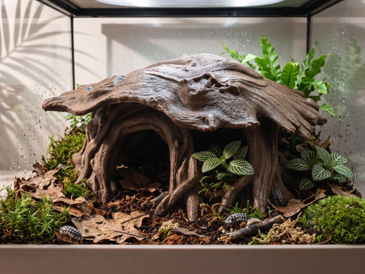 Driftwood Root Hide – Terrarium & Aquarium Decor