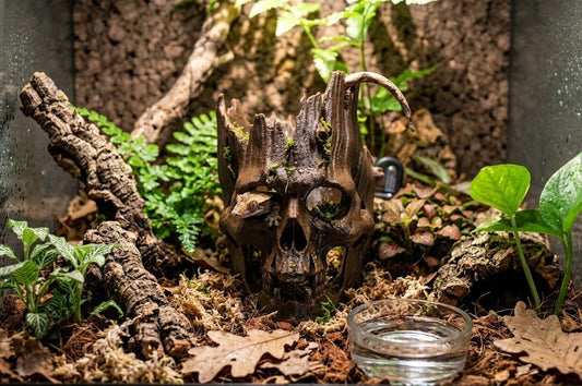 Cursed Wooden Hollow Skull Hide - Terrarium Decor